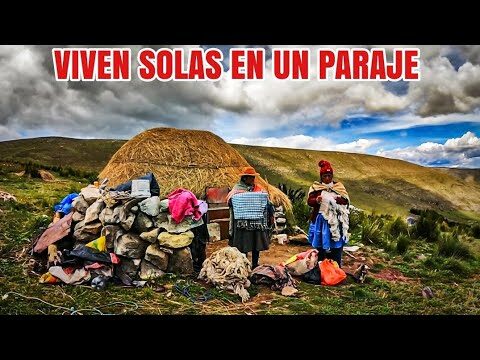 Vida en Dos Hermanas: Un An&aacute;lisis Completo