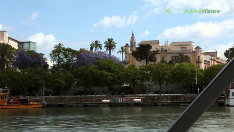 Excursiones en Bicicleta desde Mairena del Aljarafe: Mejores Rutas