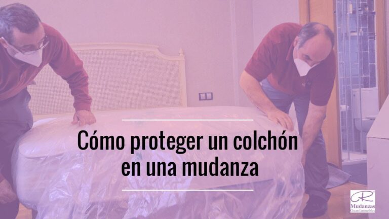 Empresas de Mudanzas en Camas: Gu&iacute;a Completa