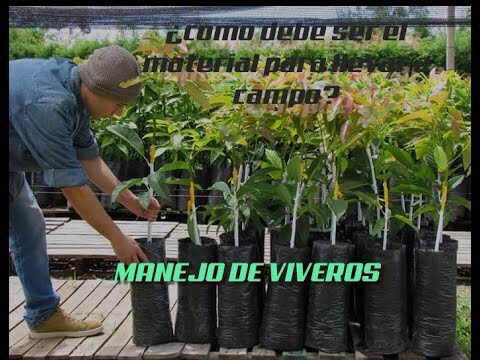 Cursos de Jardinería Disponibles en Camas