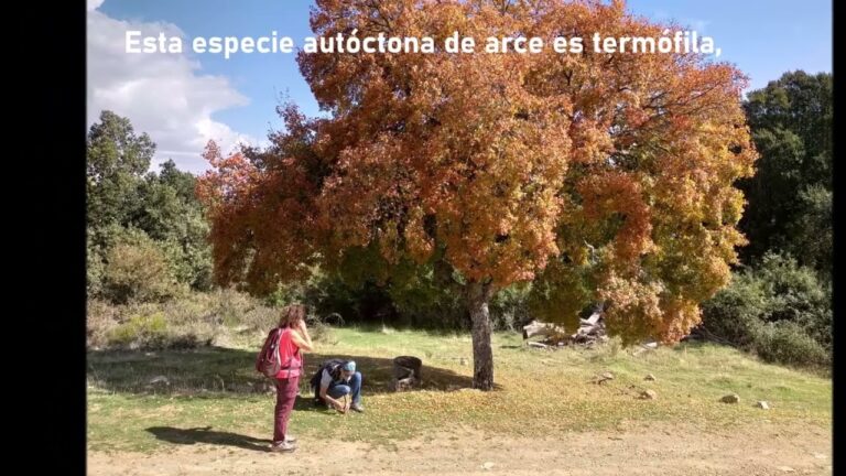 Rutas Hist&oacute;ricas en La Rinconada: Explorando el Pasado