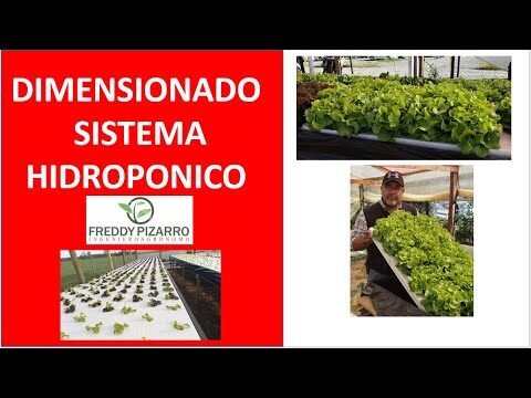 Guía de compra de productos para cultivo hidropónico en Camas