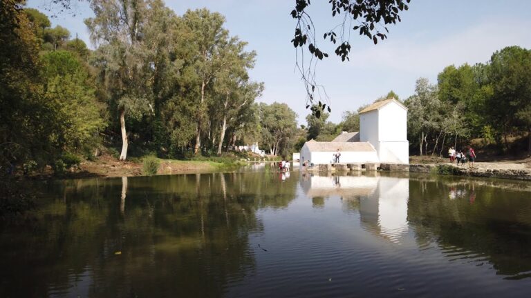 Excursiones Imperdibles Cerca de Alcal&aacute; de Guada&iacute;ra